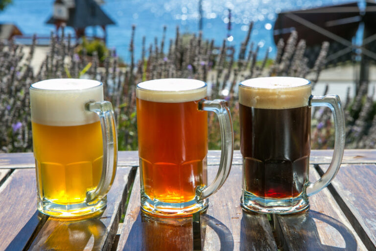 Da neve ao copo: como a água das Cordilheiras ajuda a produzir as cervejas artesanais de Bariloche