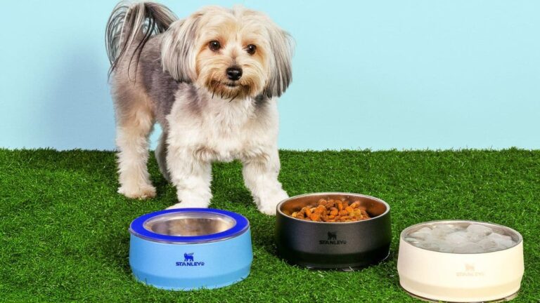 Stanley 1913 estreia no segmento pet com o lançamento do Pet Bowl, comedouro e bebedouro térmico para cães e gatos