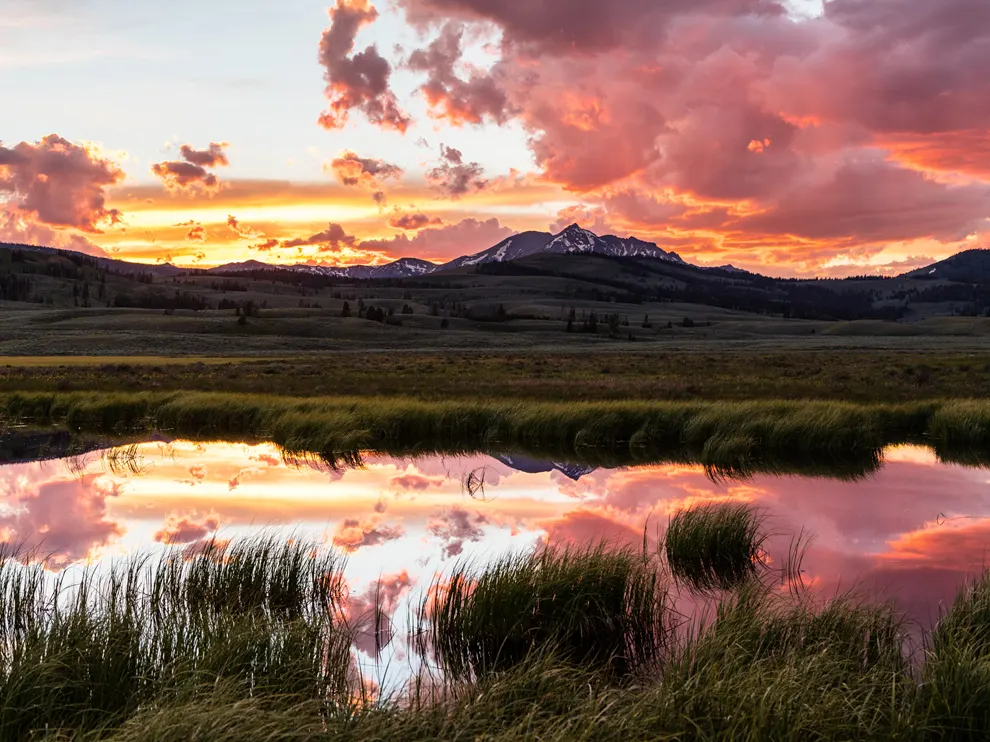 yellowstone national park